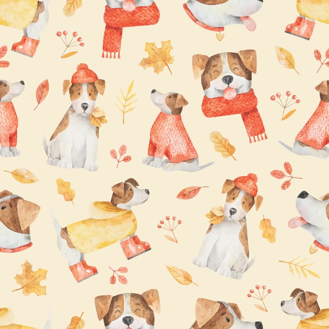 [NEW RELEASE] Snuggly Paws Collection- Girl's Top & Pants Set